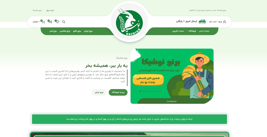 برنج نوشیکا